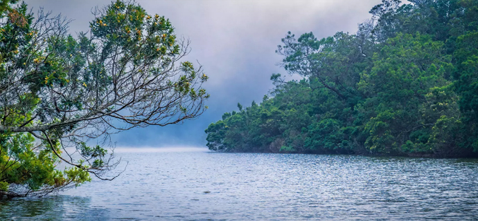 kodaikanal sightseeing places