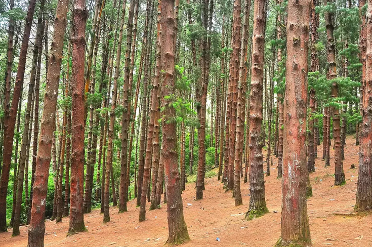 kodaikanal call taxi services