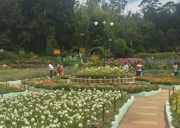 Tours and travels in kodaikanal