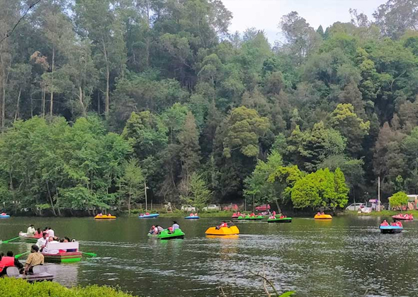 Tours and travels in kodaikanal