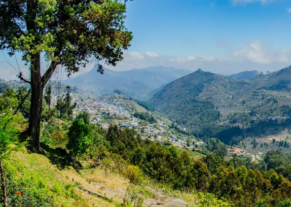 Tours and travels in kodaikanal
