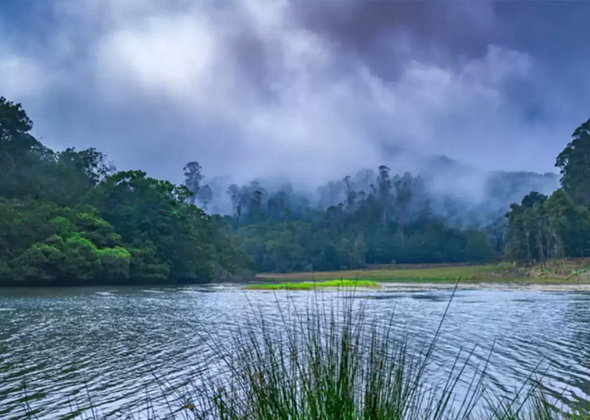 Tours and travels in kodaikanal