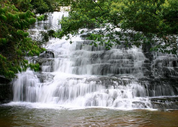 Tours and travels in kodaikanal