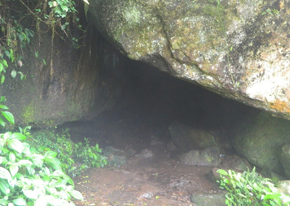Tours and travels in kodaikanal