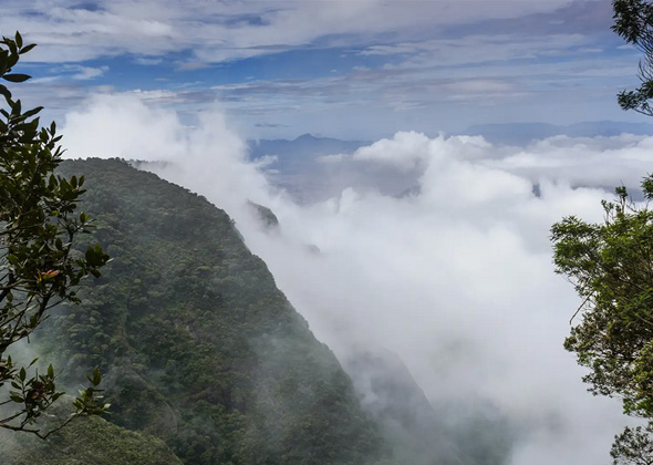 Tours and travels in kodaikanal